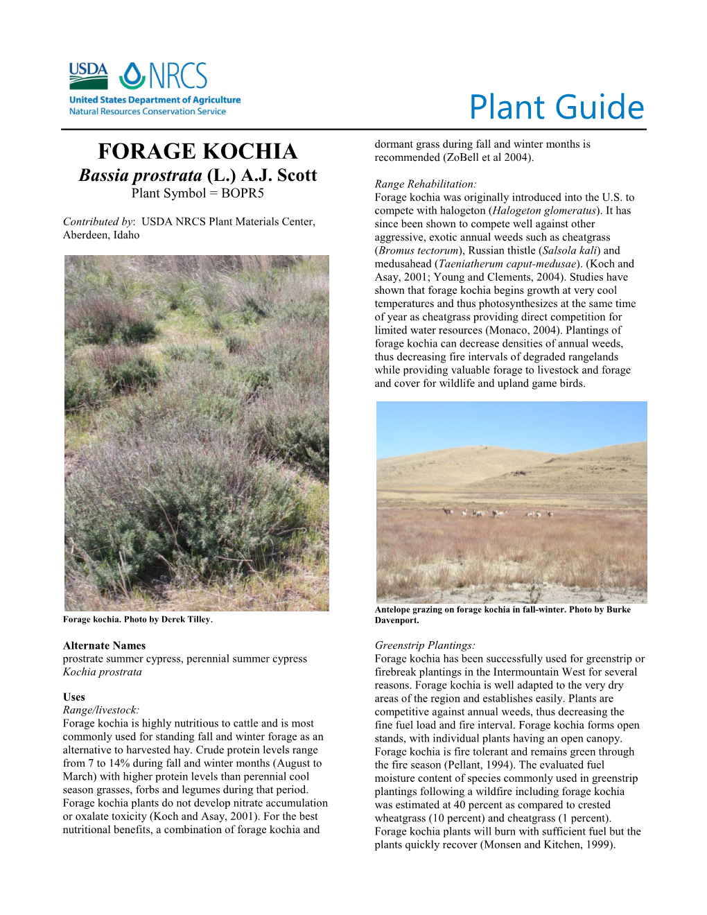 Plant Guide for Forage Kochia (Bassia Prostrata)