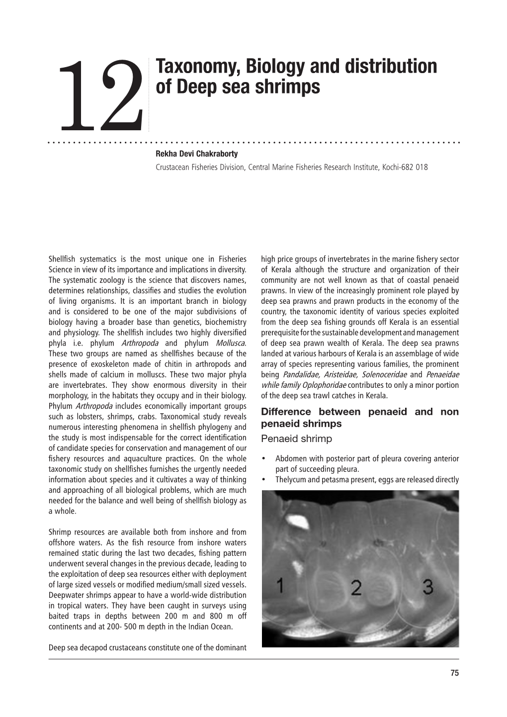 Taxonomy, Biology and Distribution of Deep Sea Shrimps