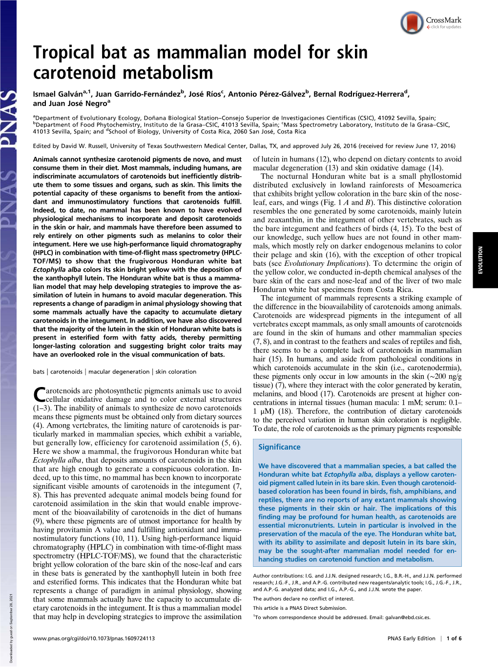 Tropical Bat As Mammalian Model for Skin Carotenoid Metabolism