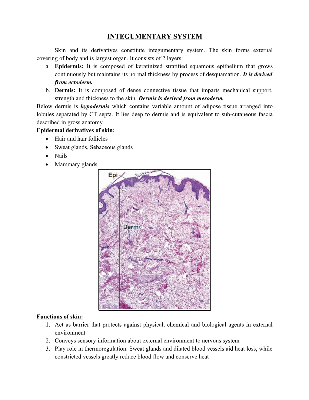 Integumentary System