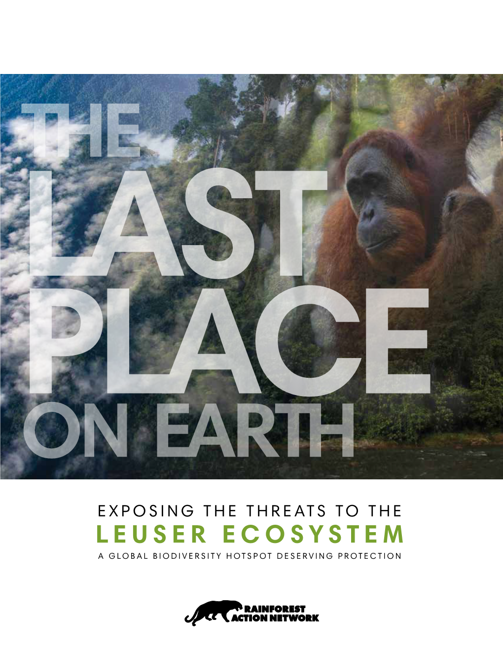 Leuser Ecosystem a Global Biodiversity Hotspot Deserving Protection the Leuser Ecosystem Is The