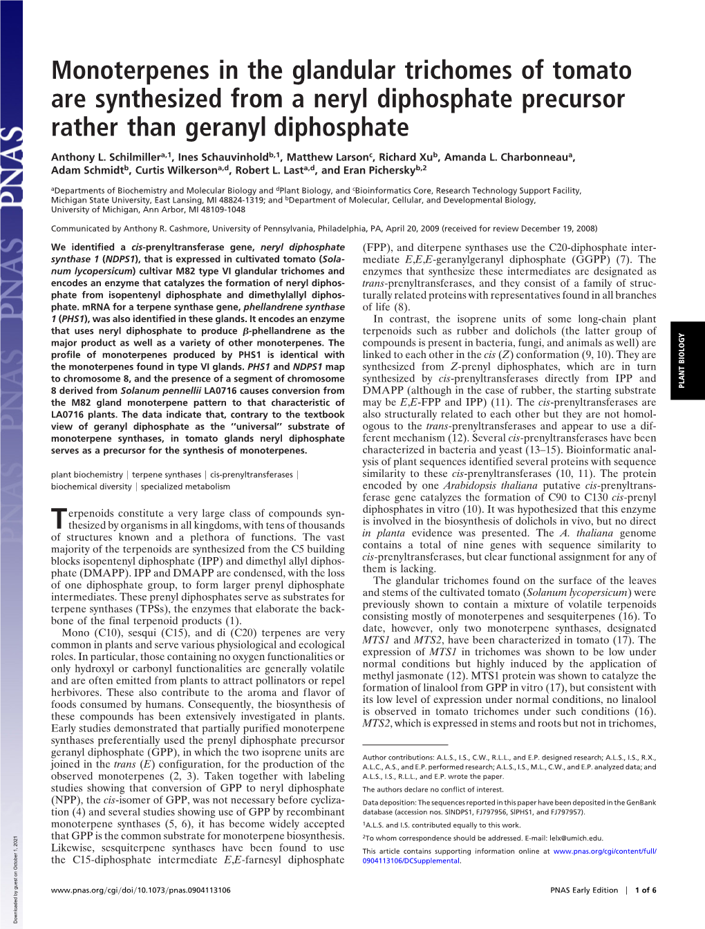 Monoterpenes in the Glandular Trichomes of Tomato Are Synthesized from a Neryl Diphosphate Precursor Rather Than Geranyl Diphosphate