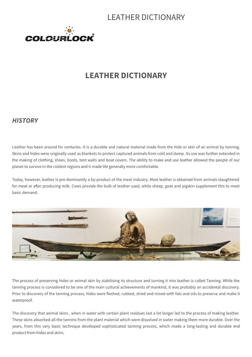 Colourlock Leather Dictionary