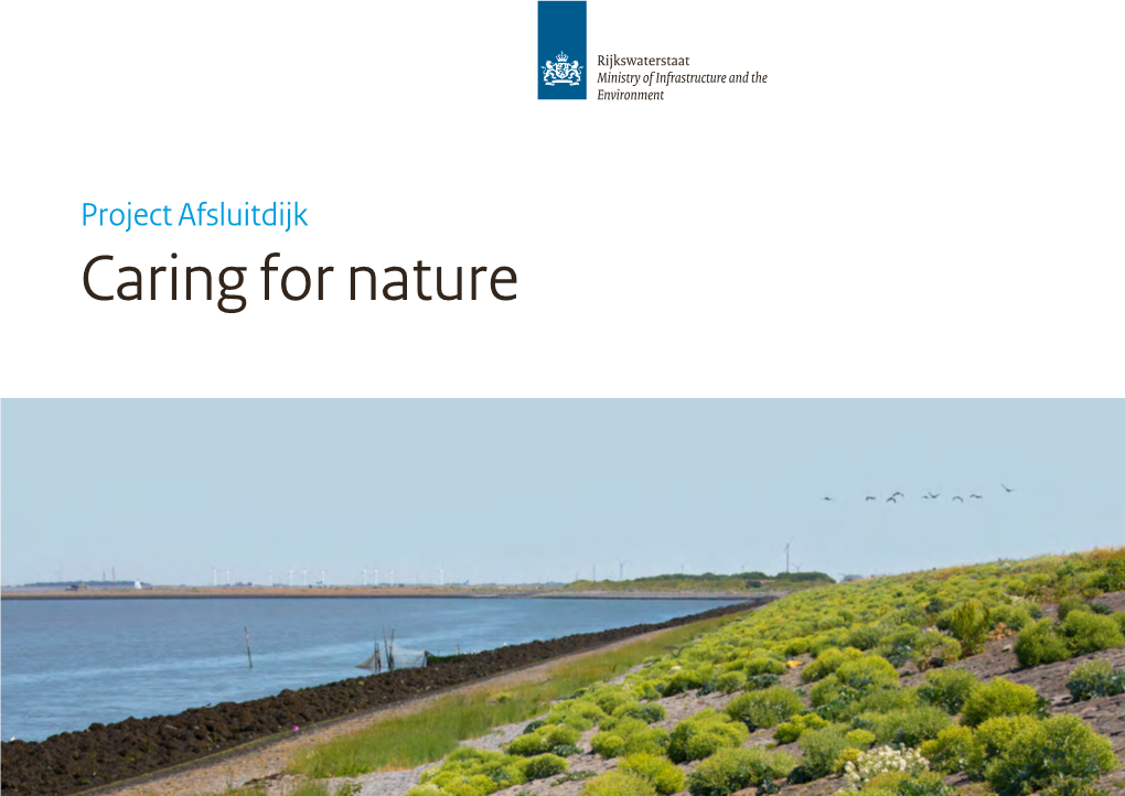 Caring for Nature This Brochure Describes the Relationship Between Project Afsluitdijk and Nature