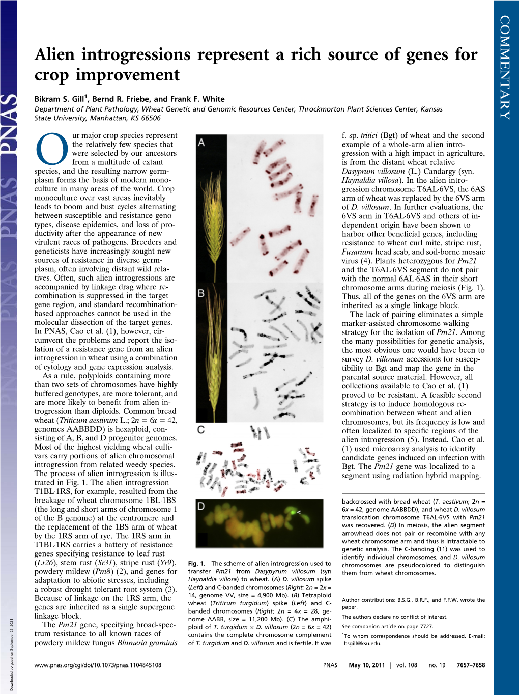 Alien Introgressions Represent a Rich Source of Genes for Crop Improvement