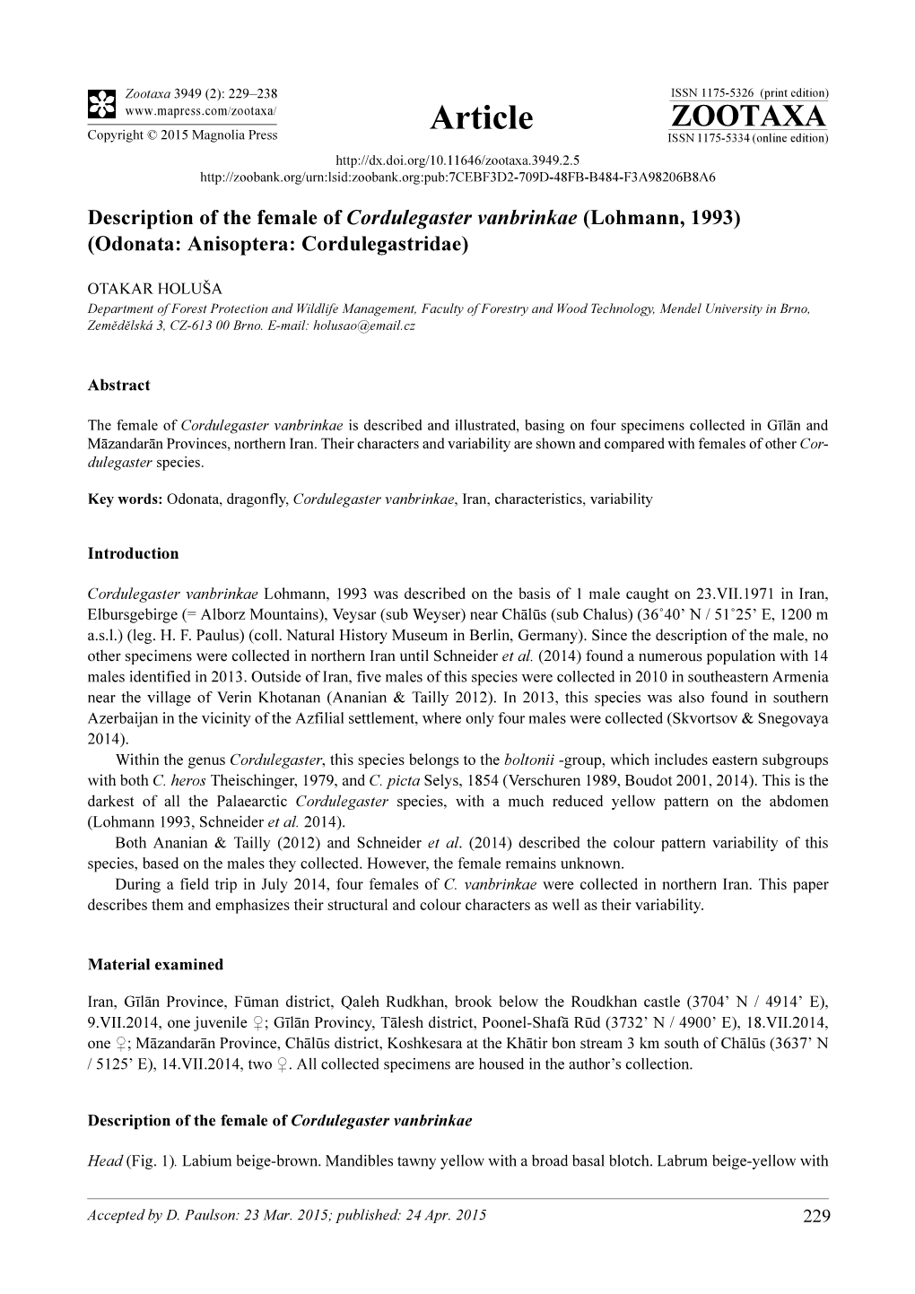 Lohmann, 1993) (Odonata: Anisoptera: Cordulegastridae