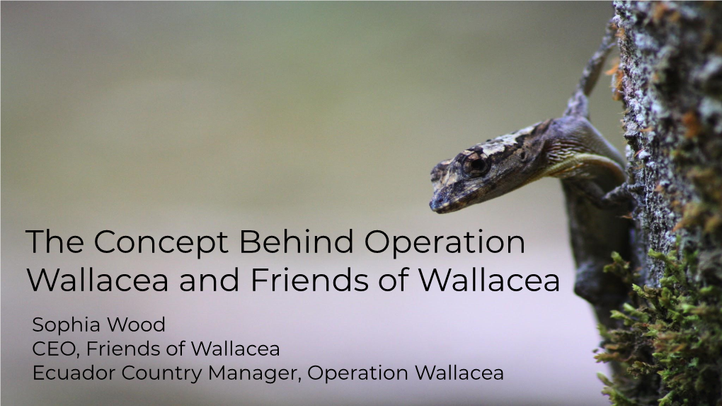 The Concept Behind Operation Wallacea and Friends of Wallacea