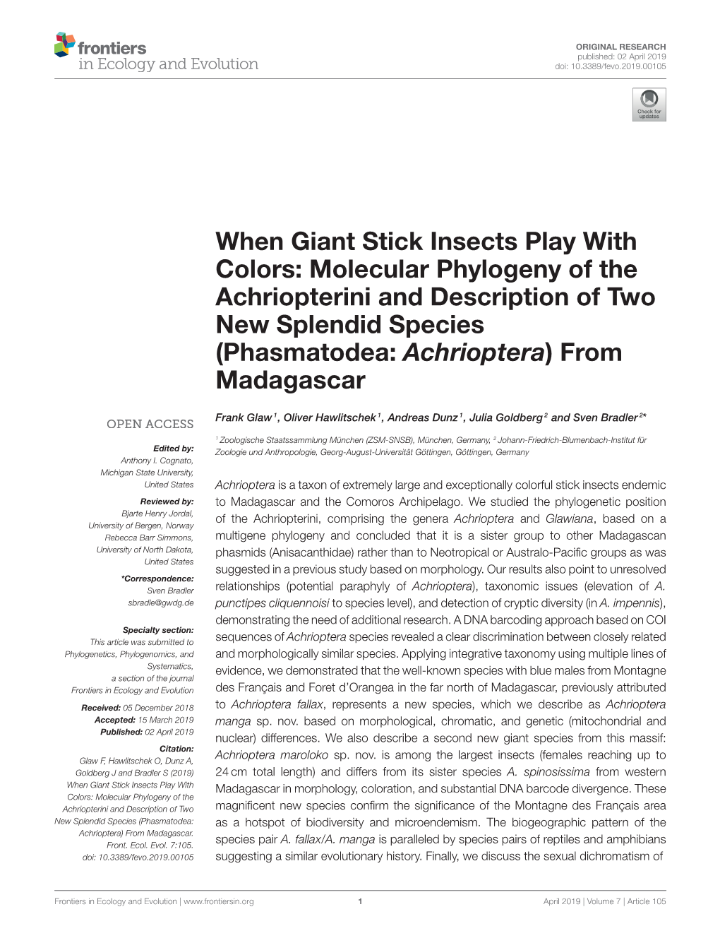 When Giant Stick Insects Play with Colors: Molecular Phylogeny of The