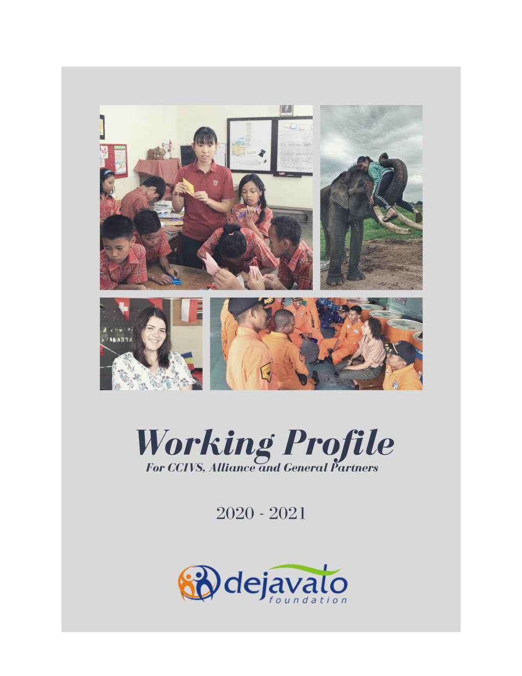 Working Profile Dejavato Foundation