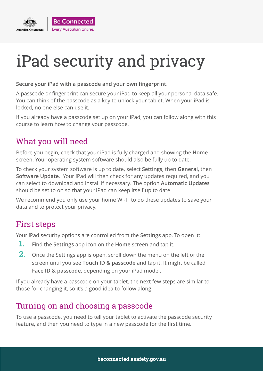 Ipad Security and Privacy