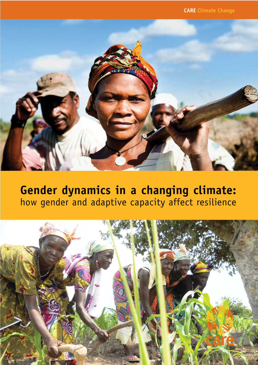 Gender Dynamics in a Changing Climate: How Gender and Adaptive Capacity Affect Resilience Acknowledgements This Report Was Written by Julie Webb