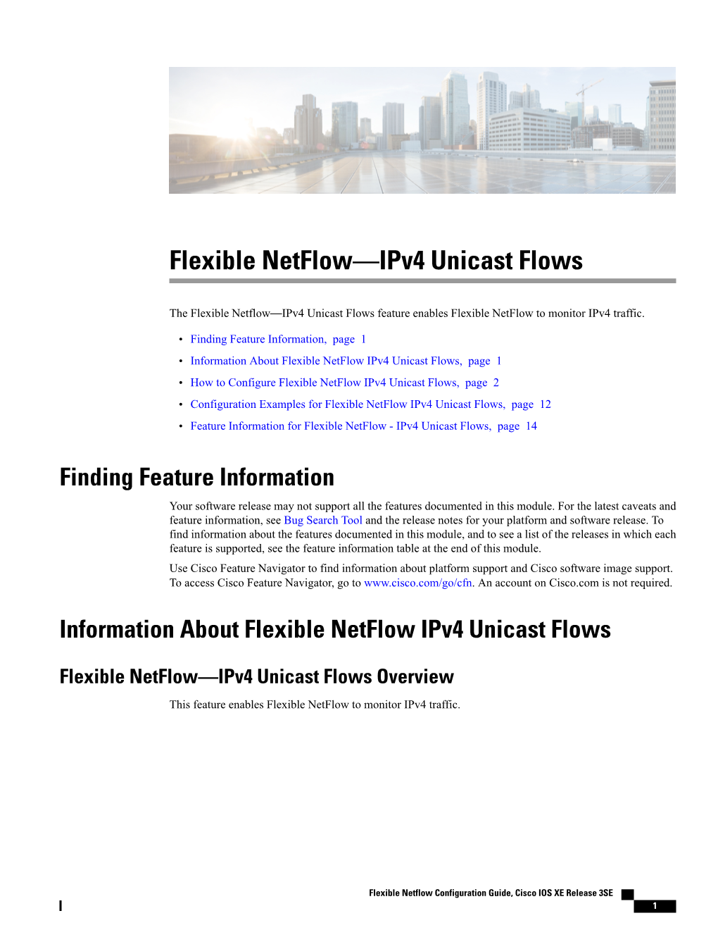 Flexible Netflow—Ipv4 Unicast Flows