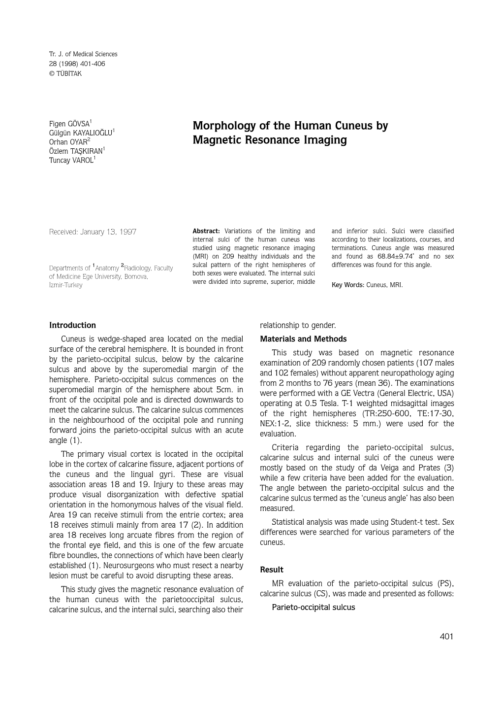 Morphology of the Human Cuneus by Magnetic Resonance Imaging