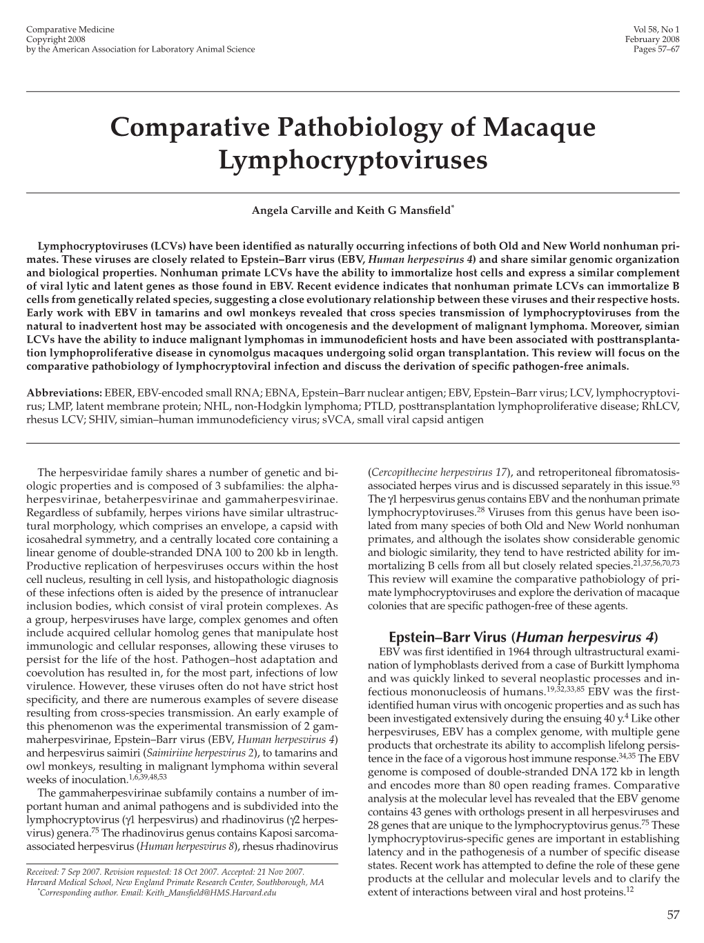 Comparative Pathobiology of Macaque Lymphocryptoviruses