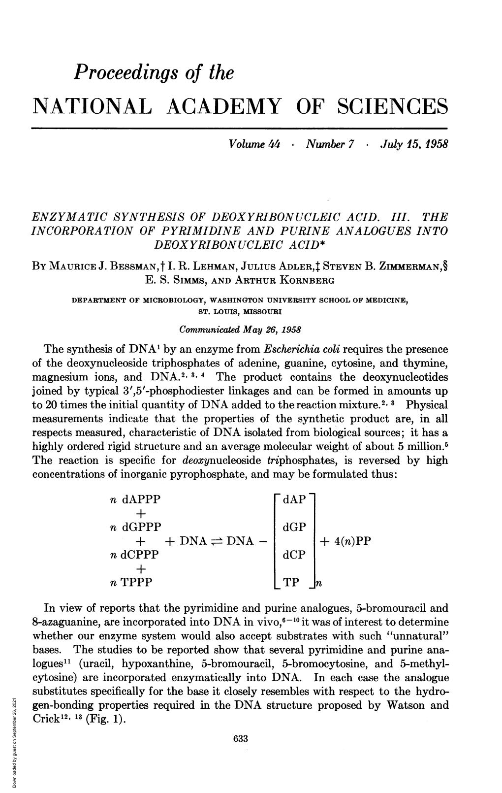 Enzymatic Synthesis of Deoxyribonucleic Acid. Iii