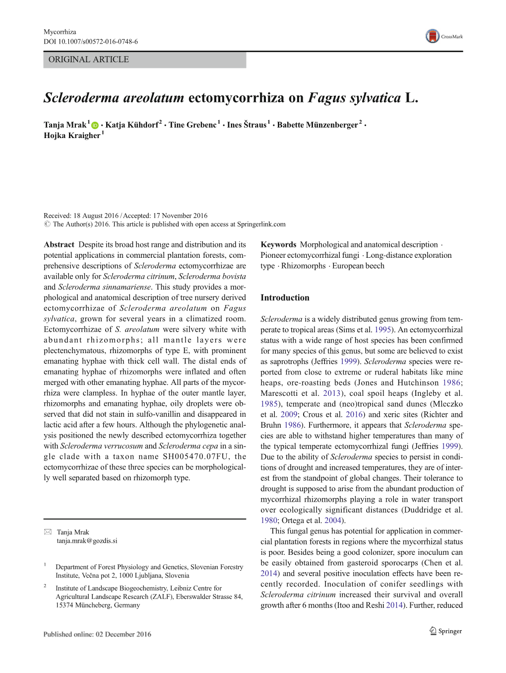 Scleroderma Areolatum Ectomycorrhiza on Fagus Sylvatica L