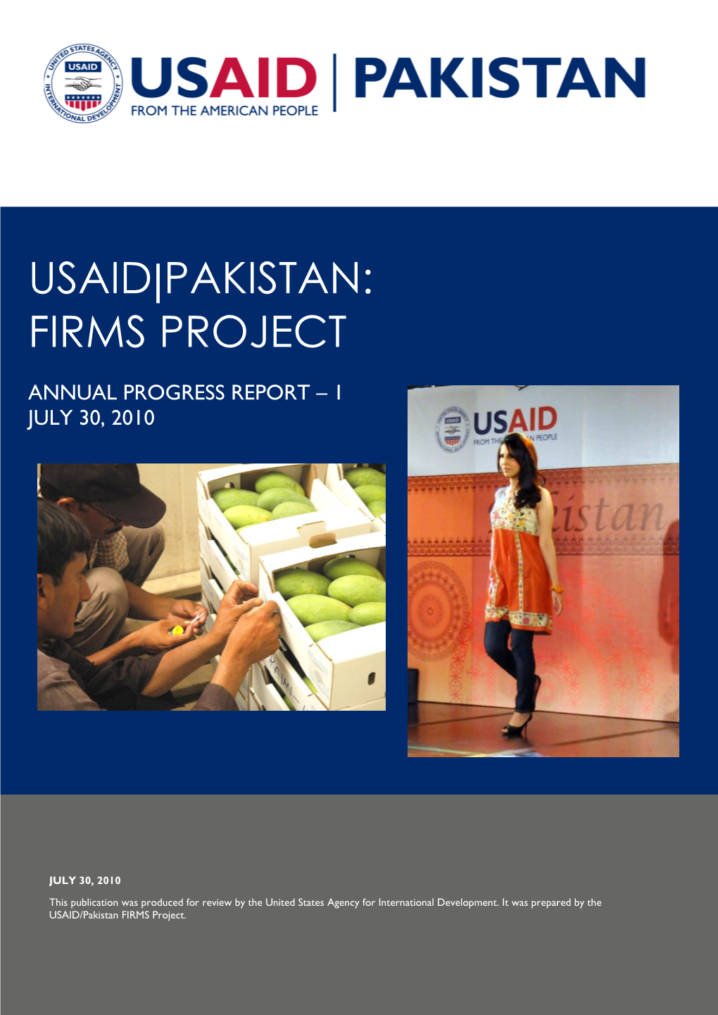 Usaid|Pakistan: Firms Project
