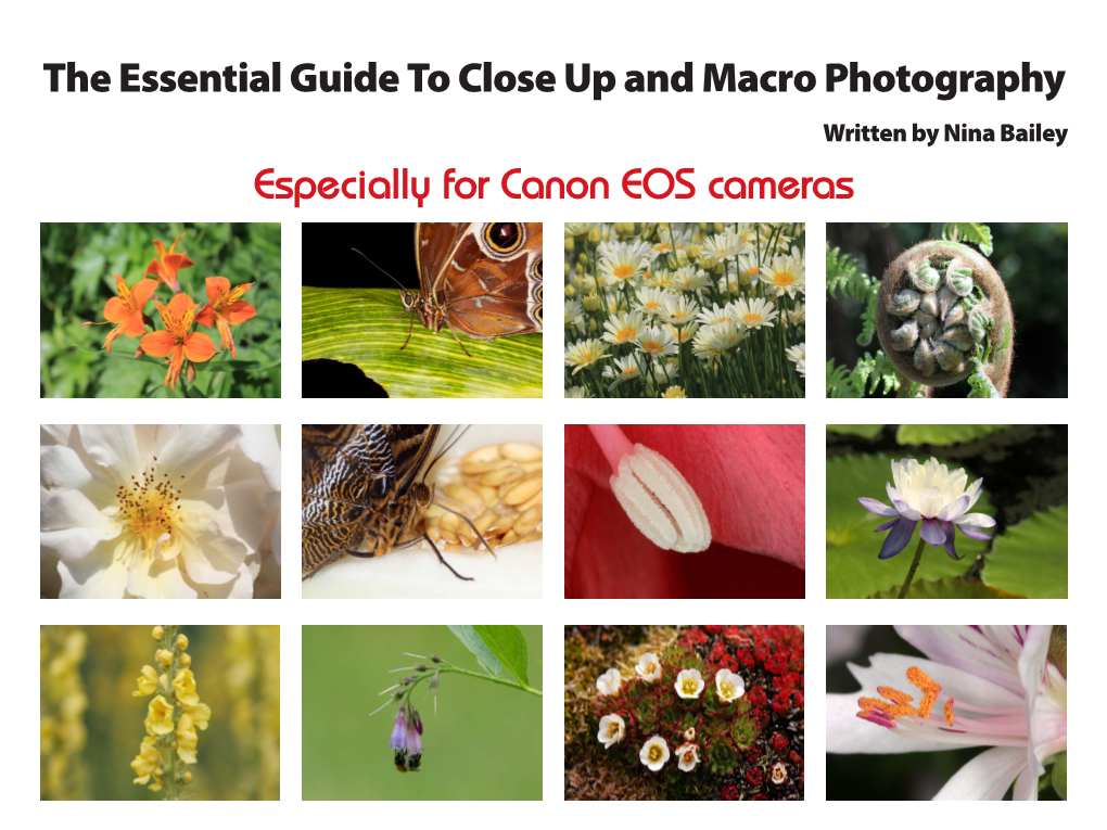 The Essential Guide to Close up and Macro Photography Especially For