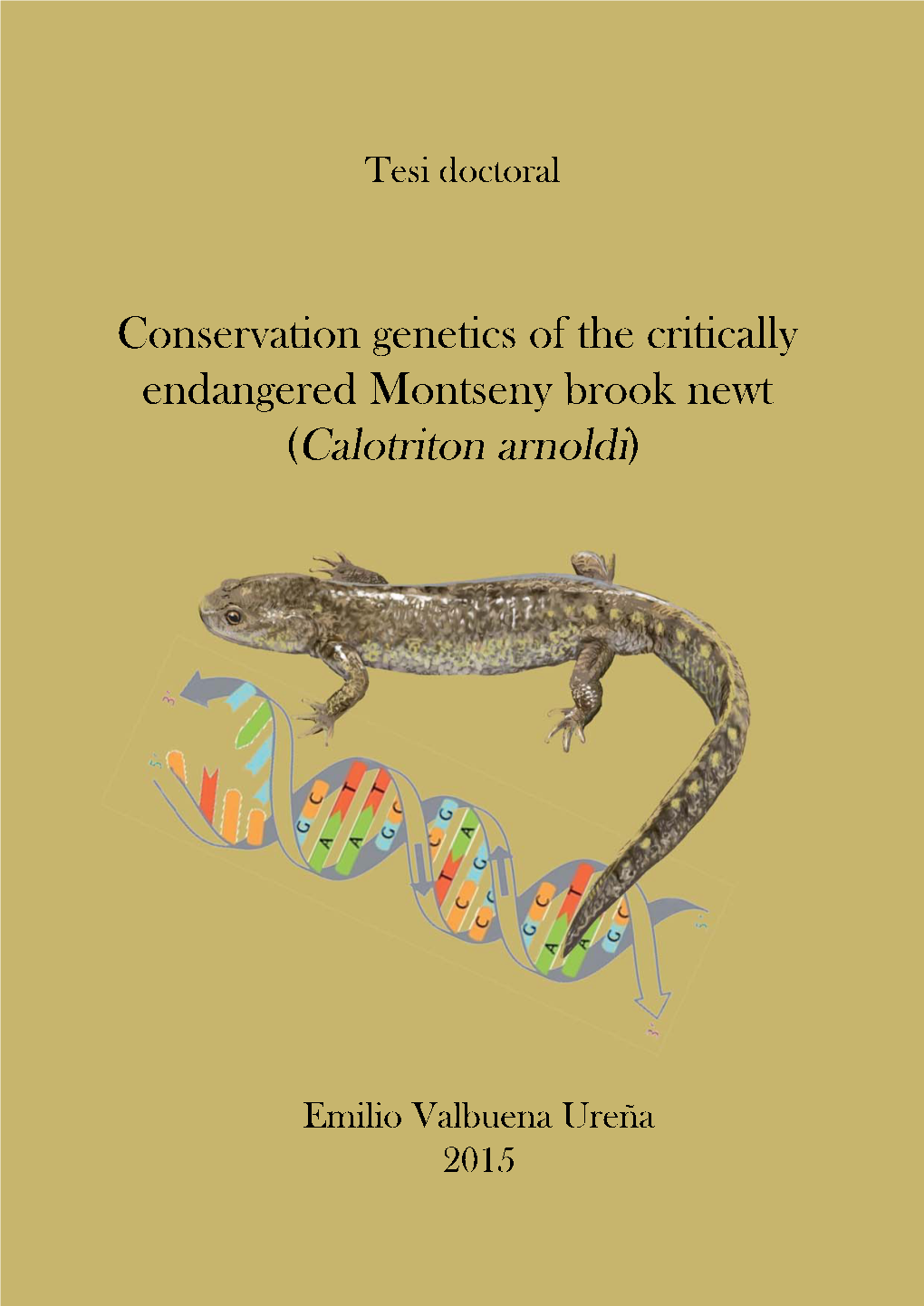 Calotriton Arnoldi) and Its Implicacions for Species Conservation