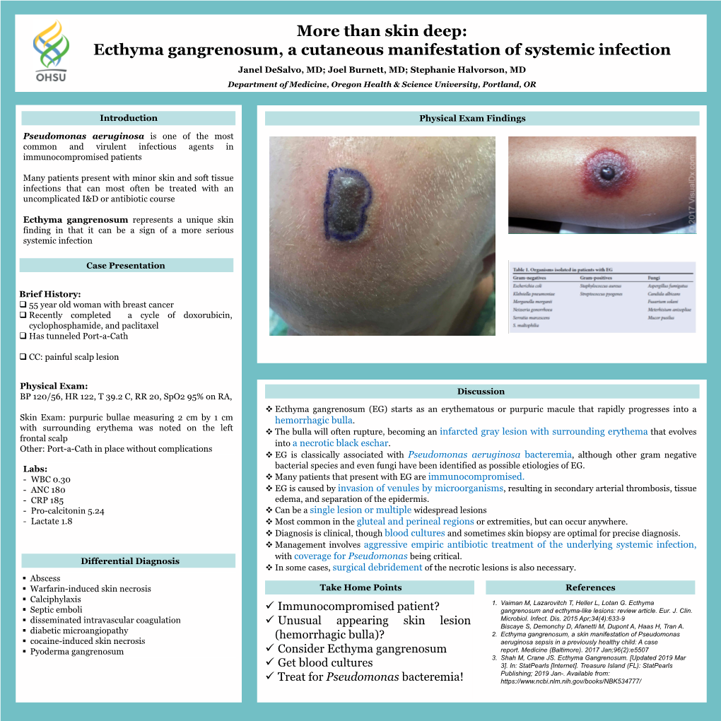 Ecthyma Gangrenosum, a Cutaneous Manifestation of Systemic Infection