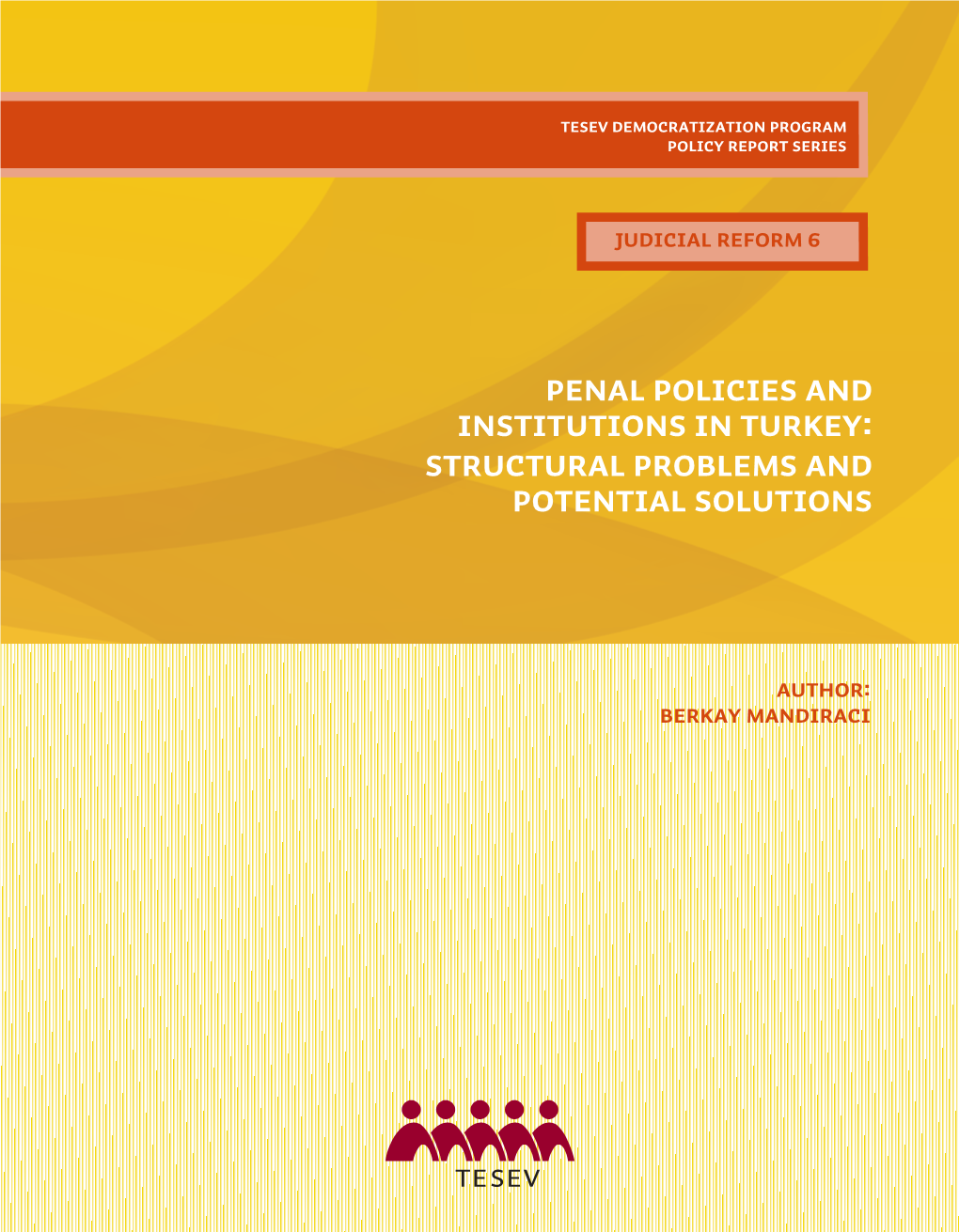 Penal Policies and Institutions in Turkey: Structural Problems and Potential Solutions