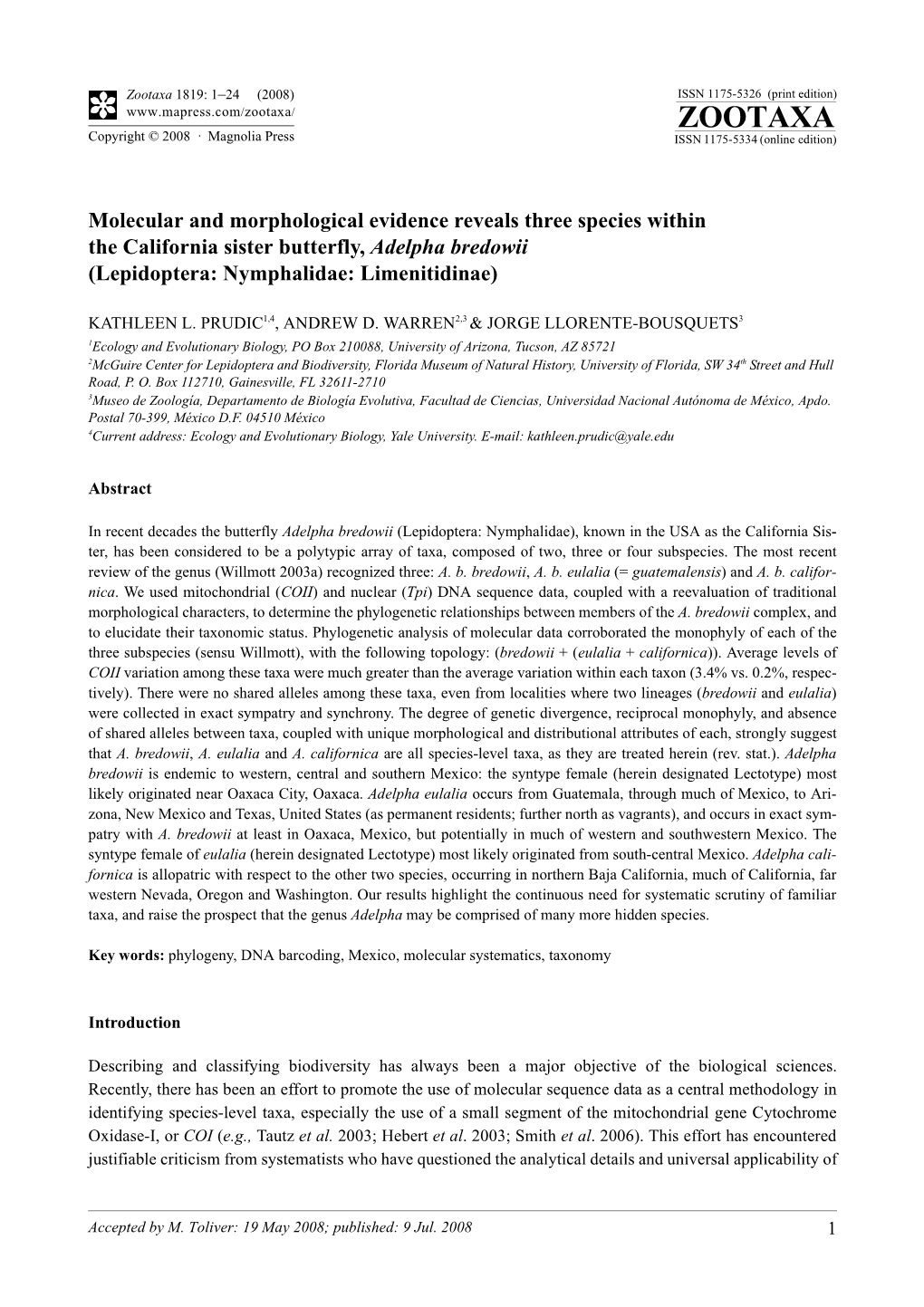 Zootaxa, Molecular and Morphological Evidence Reveals Three Species Within