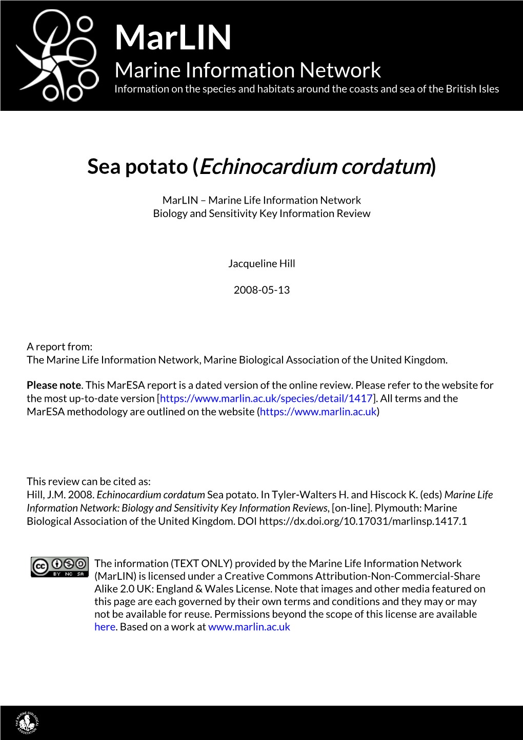 Sea Potato (Echinocardium Cordatum)