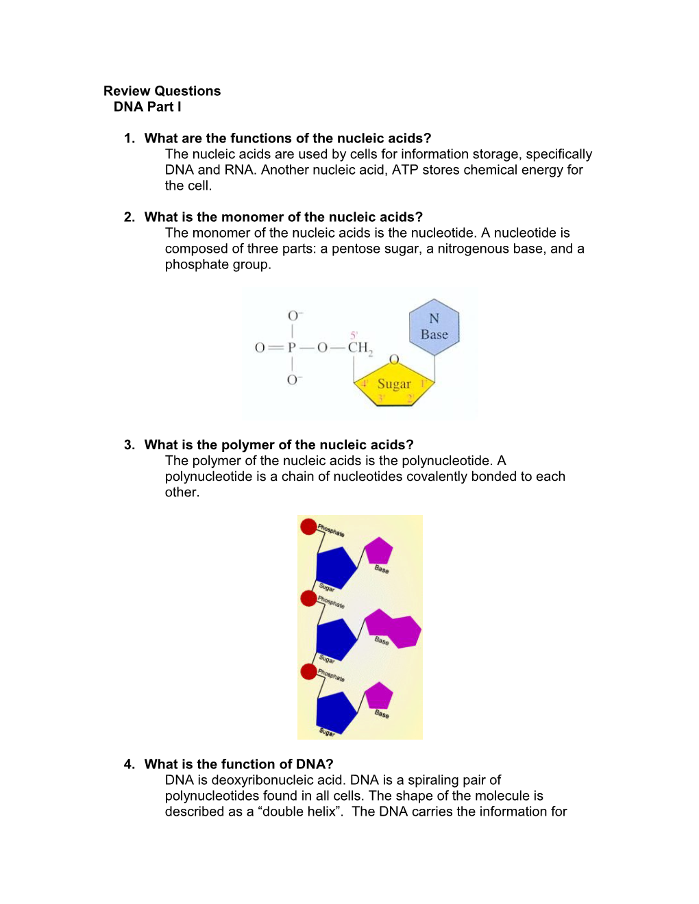 Review Questions DNA Part I