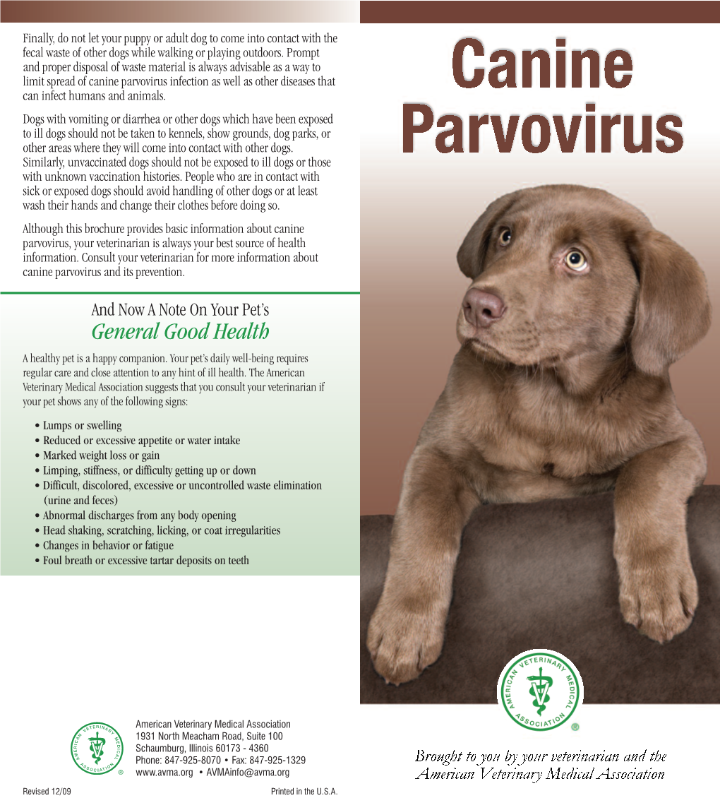 Canine Parvovirus Infection As Well As Other Diseases That Can Infect Humans and Animals