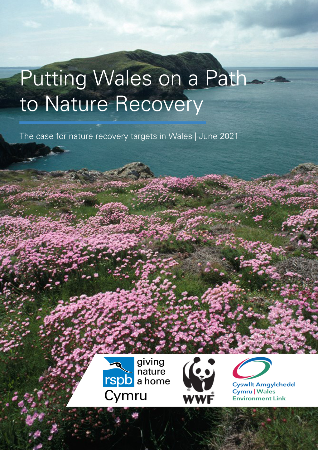 Putting Wales on a Path to Nature Recovery