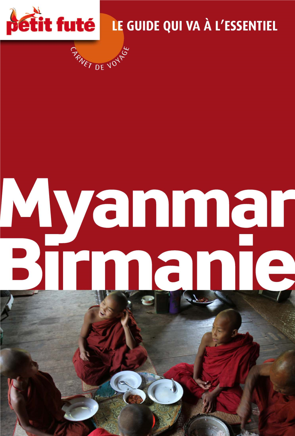 Le Drapeau De La Birmanie