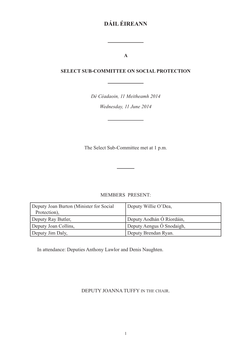 Select Sub-Committee on Social Protection
