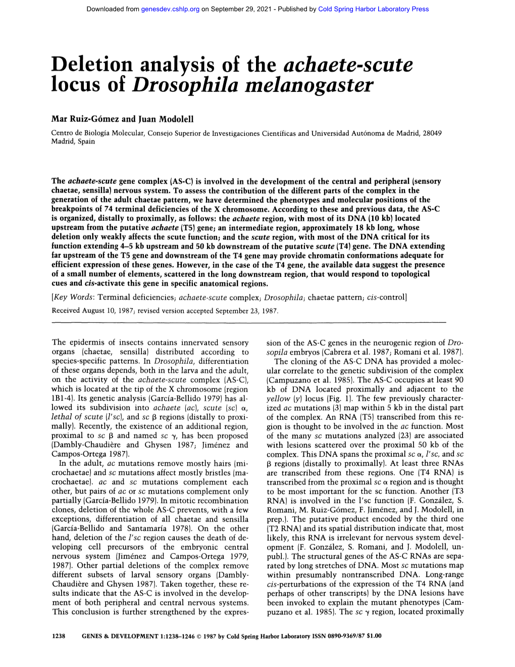 Locus of Drosophila Melanogaster