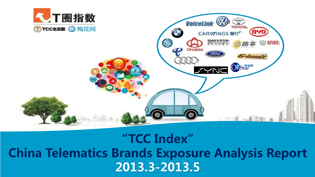 Peter Zhou, Telematics Communications China