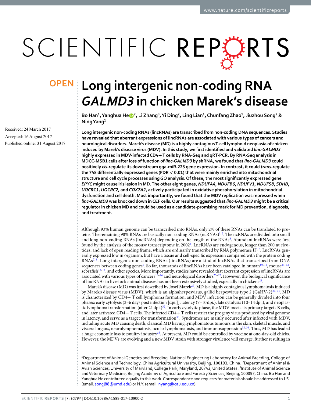 Long Intergenic Non-Coding RNA GALMD3 in Chicken Marek's Disease