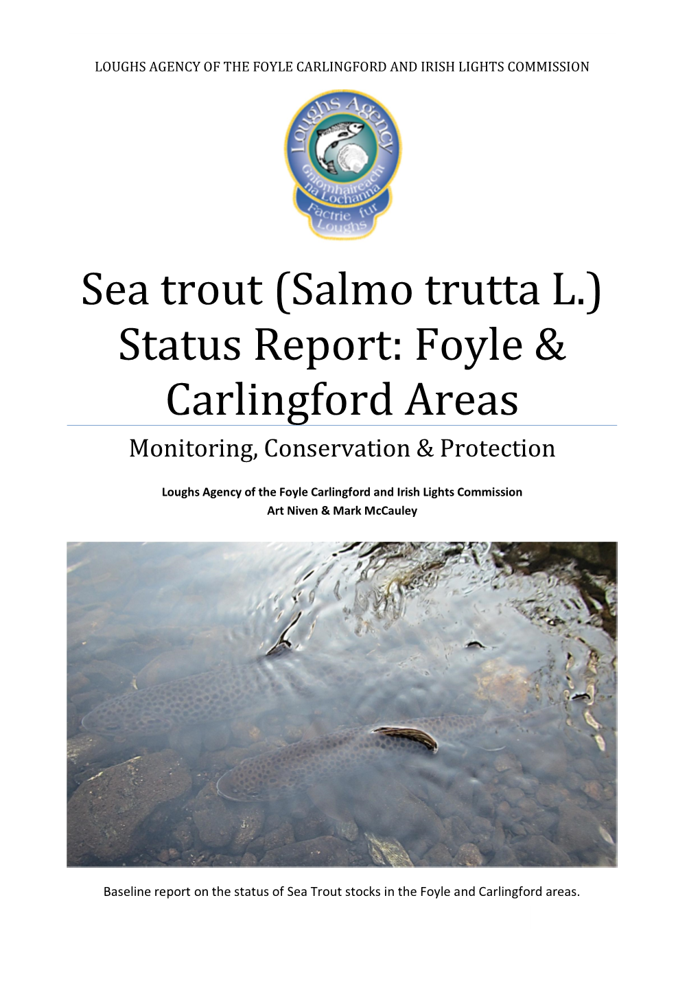 Sea Trout (Salmo Trutta L.) Status Report: Foyle & Carlingford Areas