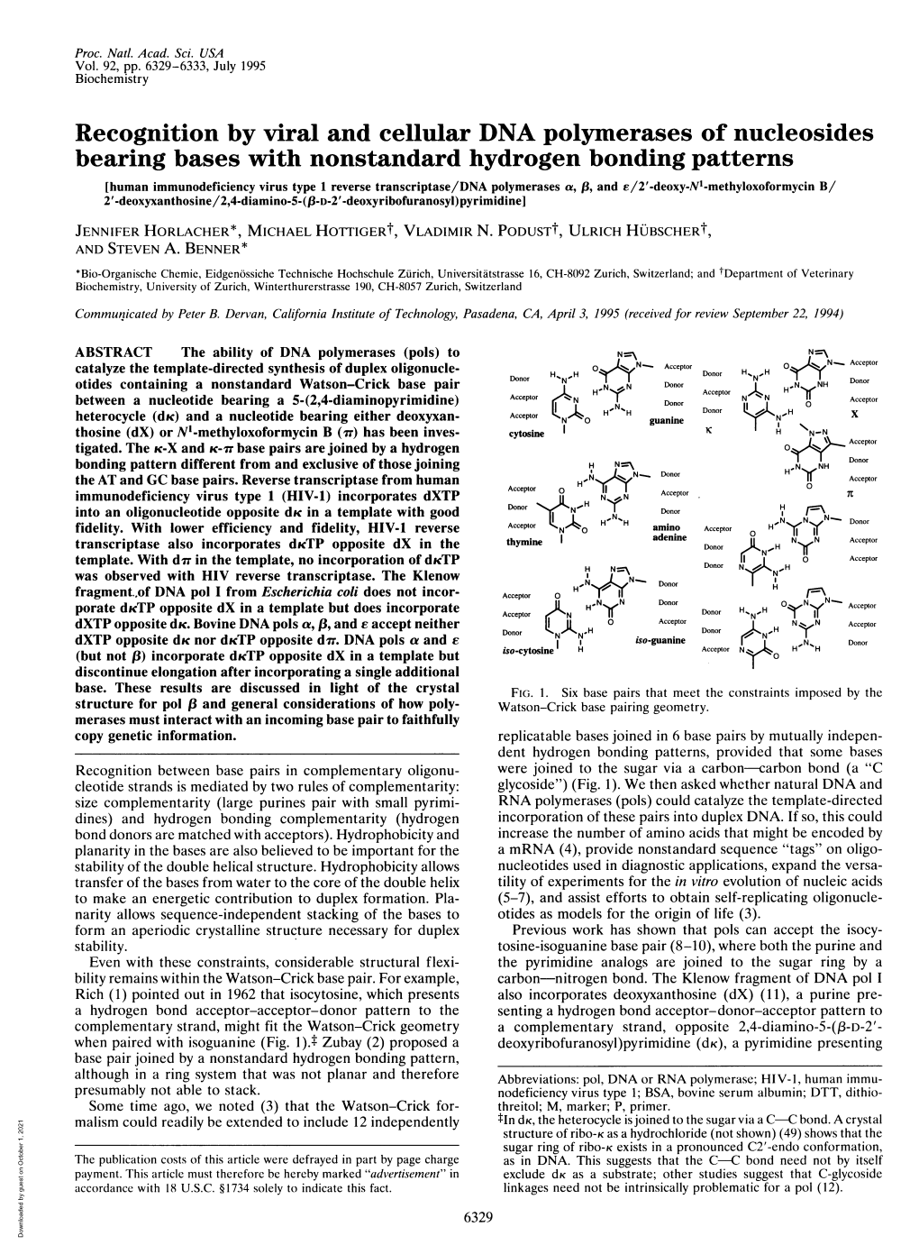 Recognition by Viral and Cellular DNA Polymerases of Nucleosides