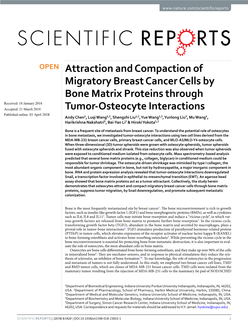 Attraction and Compaction of Migratory Breast Cancer Cells By