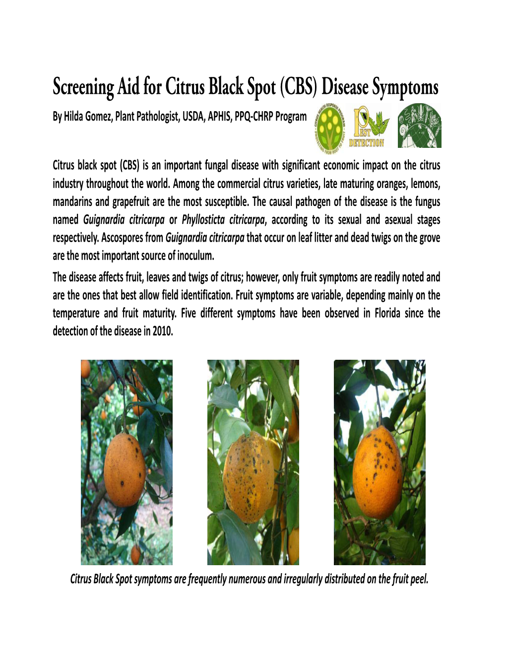 Screening Aid for Citrus Black Spot (CBS) Disease Symptoms by Hilda Gomez, Plant Pathologg,Ist, USDA, APHIS, PPQ‐CHRP Program