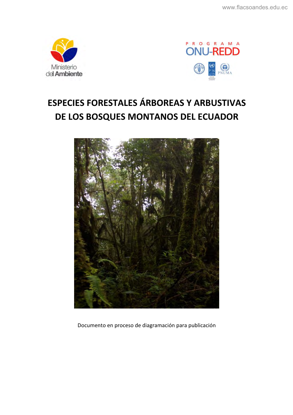 Especies Forestales Árboreas Y Arbustivas De Los Bosques Montanos Del Ecuador