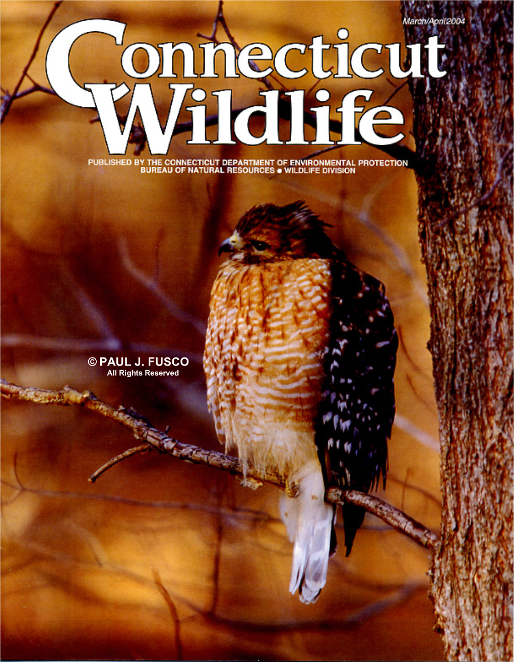 Connecticut Wildlife Mar/Apr 2004
