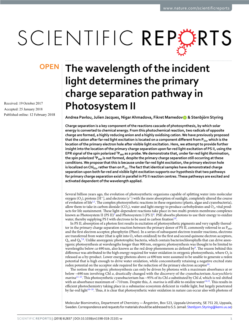 The Wavelength of the Incident Light Determines the Primary Charge Separation Pathway in Photosystem II