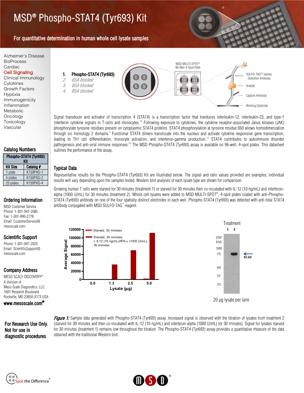 DS Phospho STAT4 Tyr693