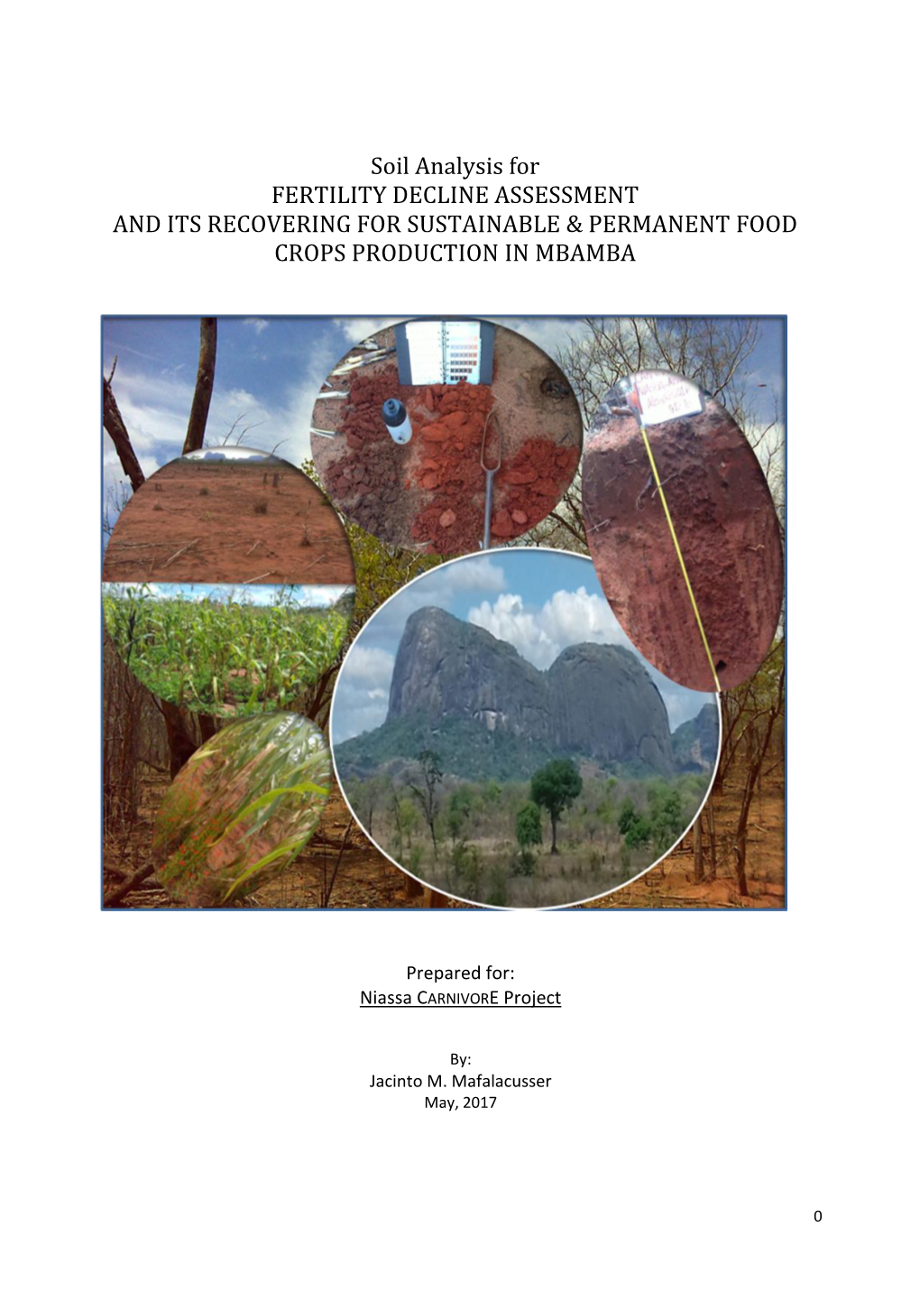 Soil Analysis for FERTILITY DECLINE ASSESSMENT and ITS RECOVERING for SUSTAINABLE & PERMANENT FOOD CROPS PRODUCTION in MBAMBA