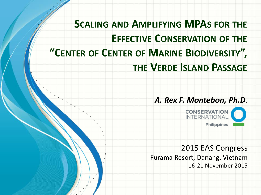 Scaling and Amplifying Mpas for the Effective Conservation of the “Center of Center of Marine Biodiversity”, the Verde Island Passage