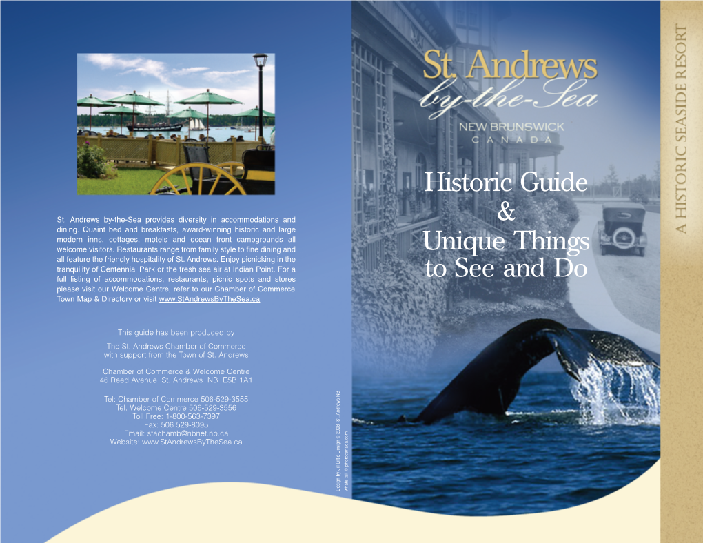 Historic Guide & Unique Things to See and Do