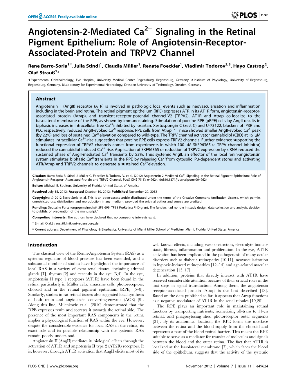 Angiotensin-2-Mediated Ca Signaling in the Retinal Pigment Epithelium