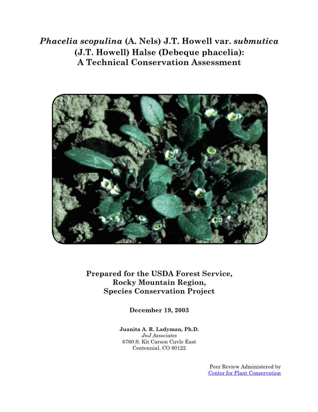 Debeque Phacelia): a Technical Conservation Assessment