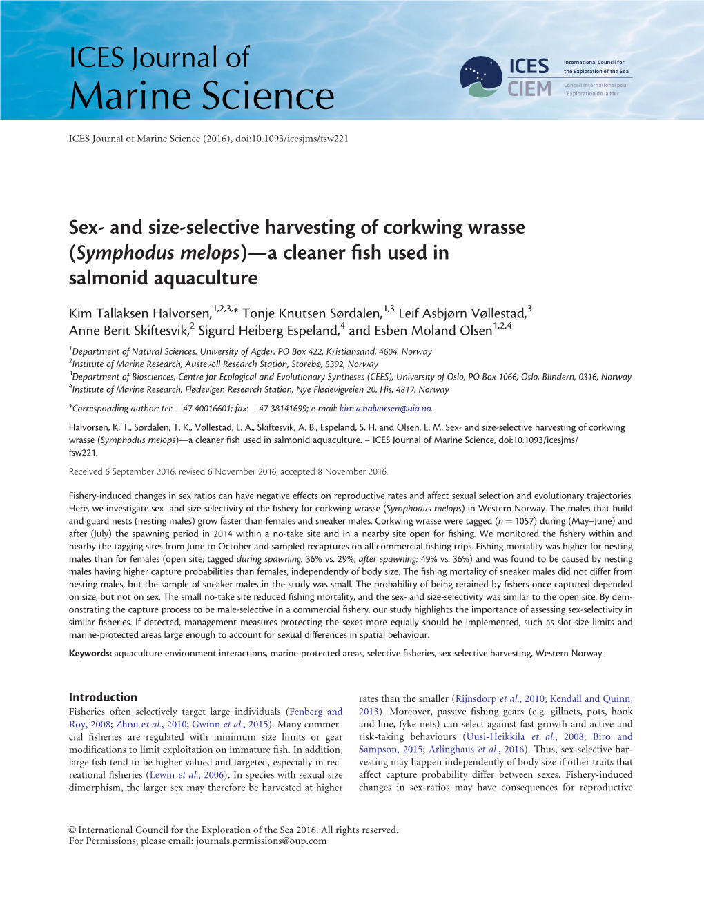Sex- and Size-Selective Harvesting of Corkwing Wrasse (Symphodus Melops)—A Cleaner ﬁsh Used in Salmonid Aquaculture