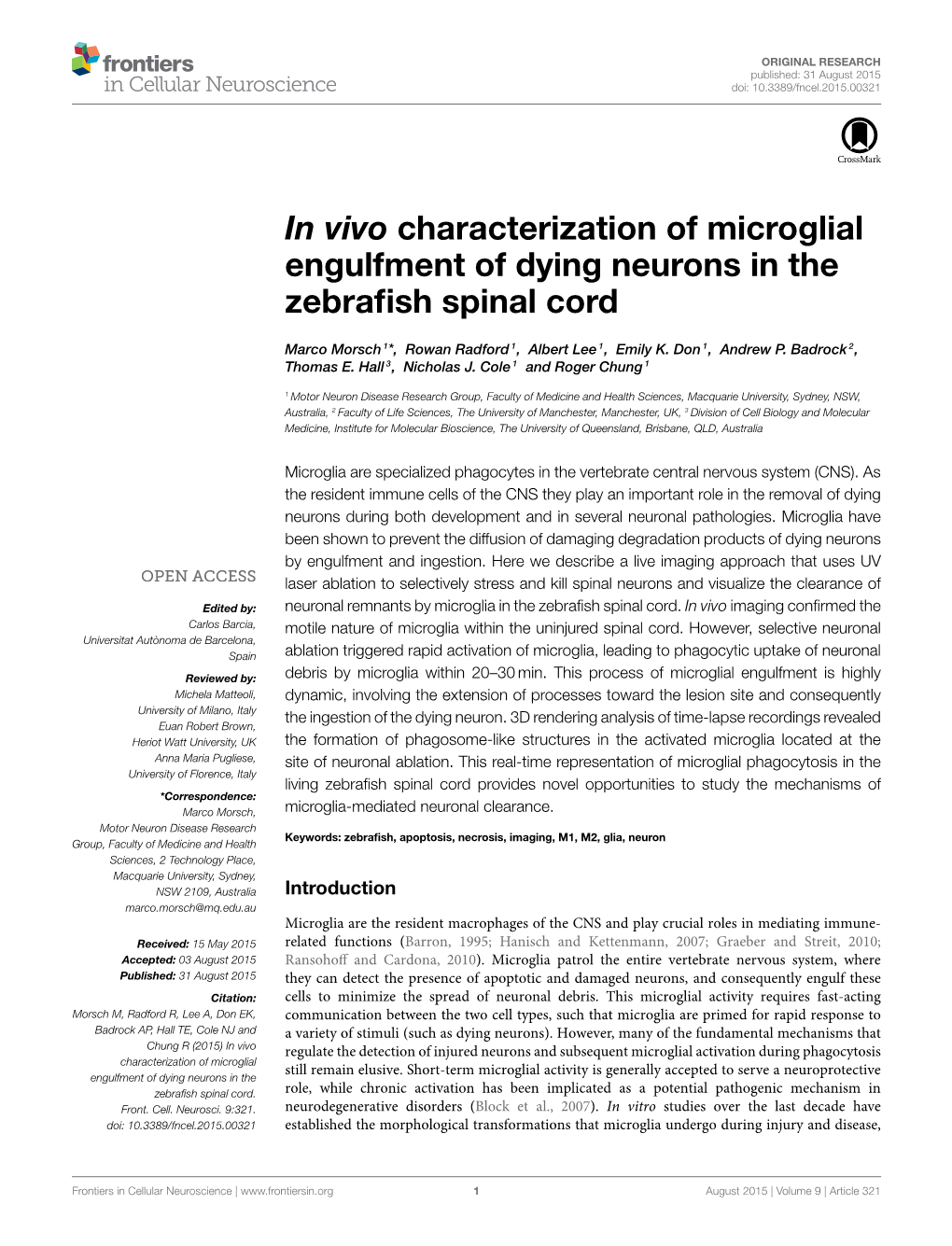 In Vivo Characterization of Microglial Engulfment of Dying Neurons in the Zebrafish Spinal Cord